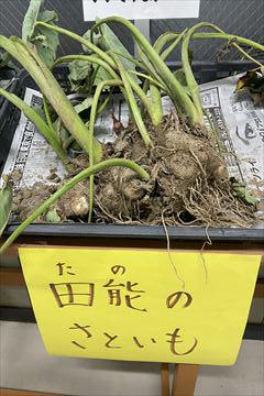 IMG_9528_R.jpg