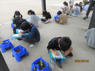 IMG_4135_R.jpg