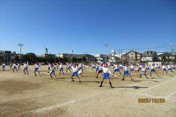 IMG_2589_R.JPG