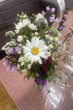 IMG_4018_R.jpg