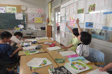 IMG_3998_R.JPG