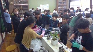 WIN_20250509_14_15_35_Pro.jpg