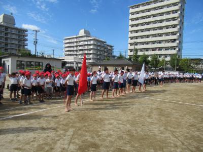 IMG_2924.JPG