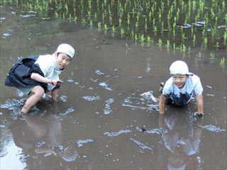 CIMG1576_R.JPG