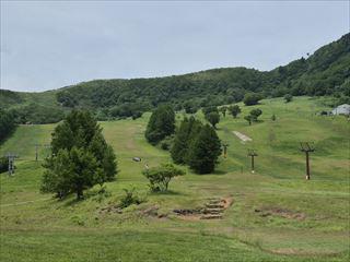 20250616_124904_R.jpg