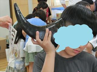 CIMG8723_R.JPG