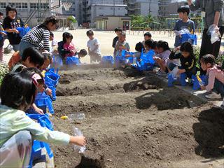 CIMG1114_R.JPG