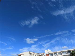 CIMG2161_R.JPG