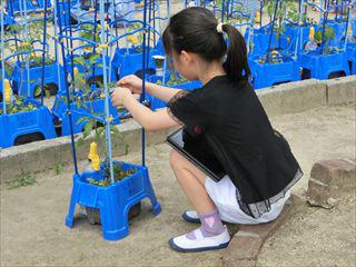 CIMG8686_R.JPG