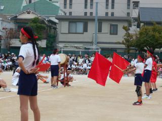 DSCN0619.JPG