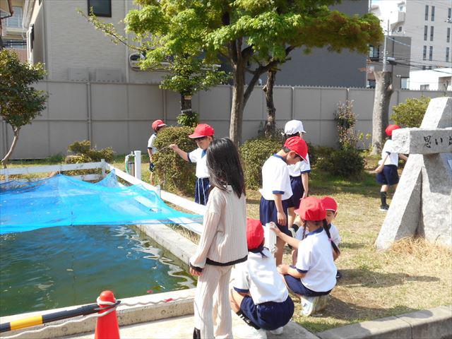 DSCN1206_R.JPG