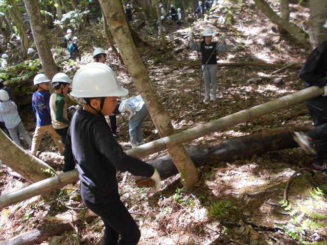 DSCN9479_R.JPG