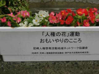 CIMG7032.JPG