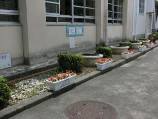 CIMG7031.JPG