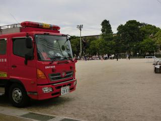 CIMG6985.JPG