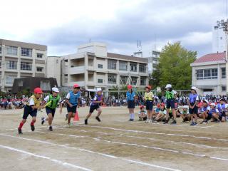 CIMG6552.JPG