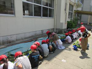 IMG_1881_R.JPG