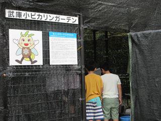 IMG_3039_R.JPG