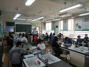 IMG_0780_R.JPG
