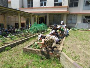 IMG_1879_R.JPG