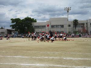 IMG_1832_R.JPG