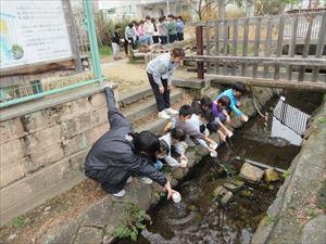 IMG_0385_R.JPG