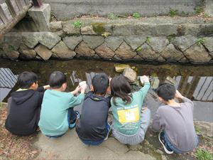 IMG_0389_R.JPG