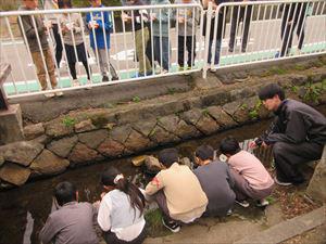 IMG_0397_R.JPG