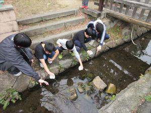 IMG_0401_R.JPG