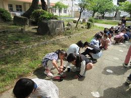 IMG_0853.JPG