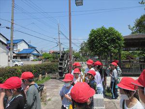 IMG_1203_R.JPG