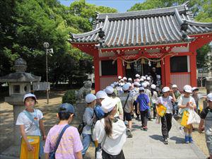 IMG_1216_R.JPG