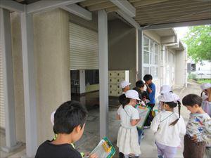 IMG_1455_R.JPG