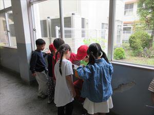 IMG_1464_R.JPG
