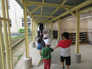 IMG_1468_R.JPG