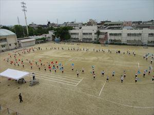 IMG_1653_R.JPG