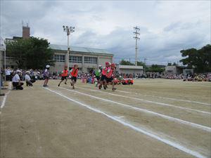 IMG_1790_R.JPG