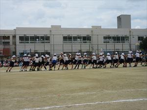 IMG_1797_R.JPG