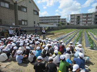 IMG_1809_R.JPG