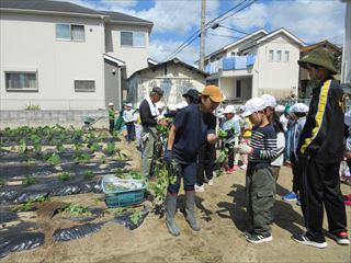 IMG_1813_R.JPG