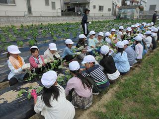 IMG_1817_R.JPG