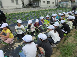 IMG_1818_R.JPG