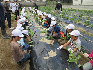 IMG_1821_R.JPG