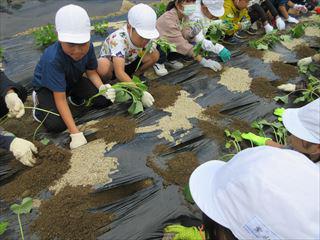 IMG_1830_R.JPG