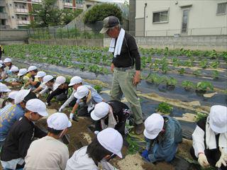 IMG_1832_R.JPG
