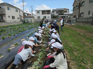 IMG_1838_R.JPG