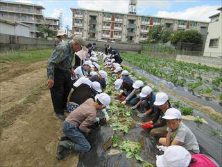 IMG_1842_R.JPG