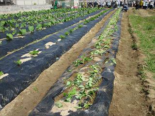 IMG_1850_R.JPG