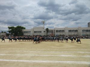 IMG_1865_R.JPG