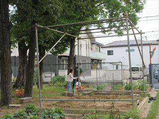 IMG_1879_R.JPG